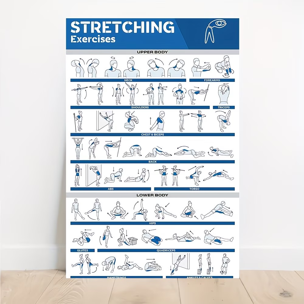Home Gym Full Body - Modern Etiketli Tam Vücut Germe Egzersizleri