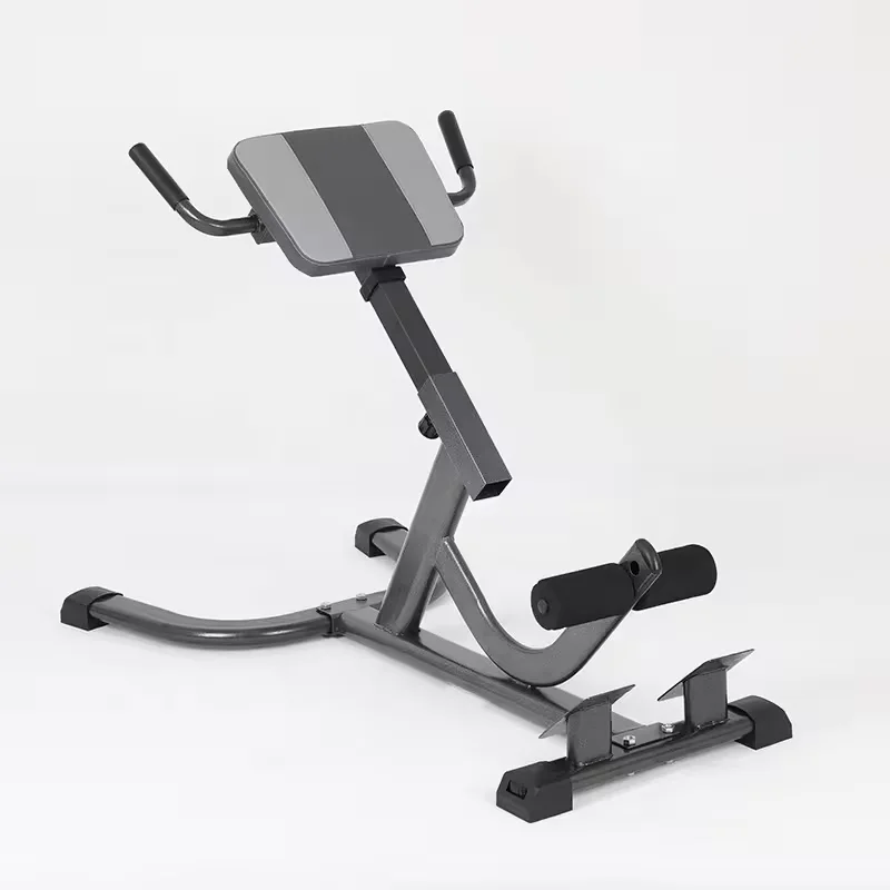 2026 Çelik Roma Sandalyesi Aya - Home Gym Hamstring Exercises incelemesi ve fiyatı