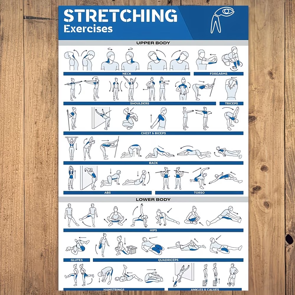 Modern Etiketli Tam Vücut Germ - Home Gym Full Body incelemesi ve fiyatı