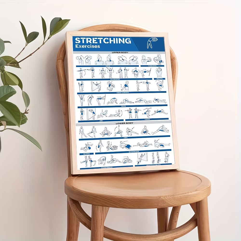 Modern Etiketli Tam Vücut Germ - Home Gym Full Body incelemesi ve fiyatı